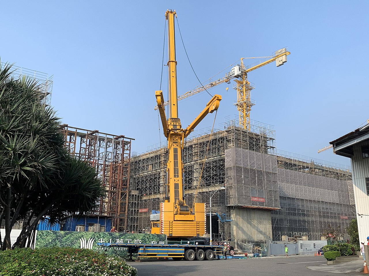 Crane